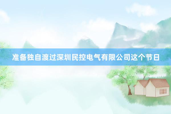 准备独自渡过深圳民控电气有限公司这个节日