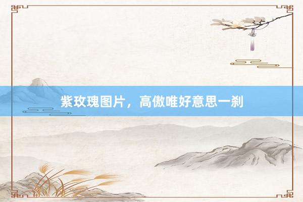 紫玫瑰图片，高傲唯好意思一刹