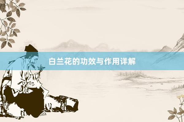 白兰花的功效与作用详解
